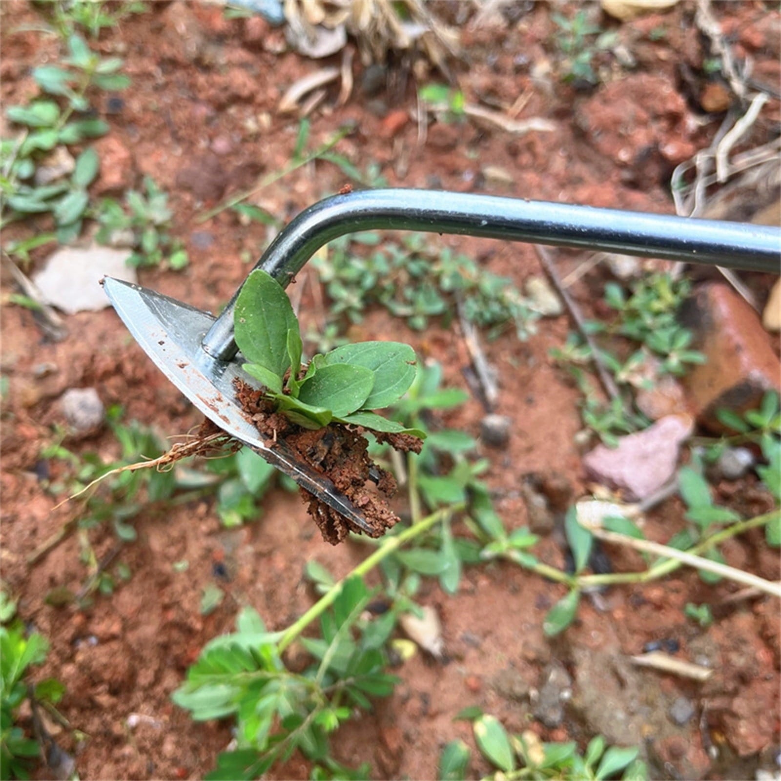 Stainless Steel Mini Garden Trowel for Weeding and Flower Planting - Ergonomic Non-Slip Handle V-Shaped Weeder Tool f... - Image 4