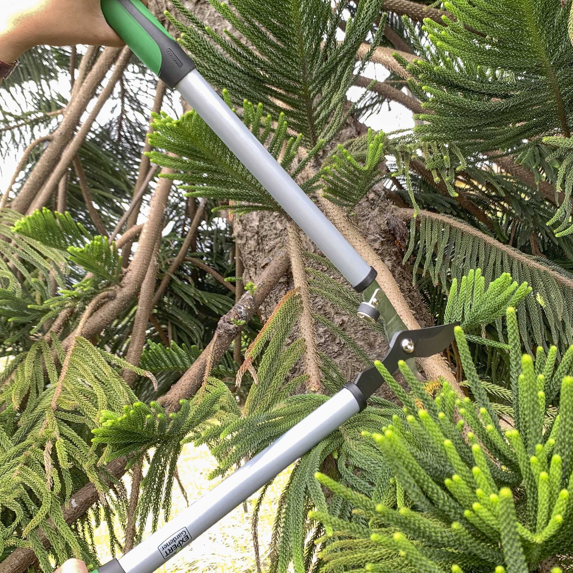 24 inches Steel Bypass Lopper, 1" Cutting Capacity in Green and Black - Image 4