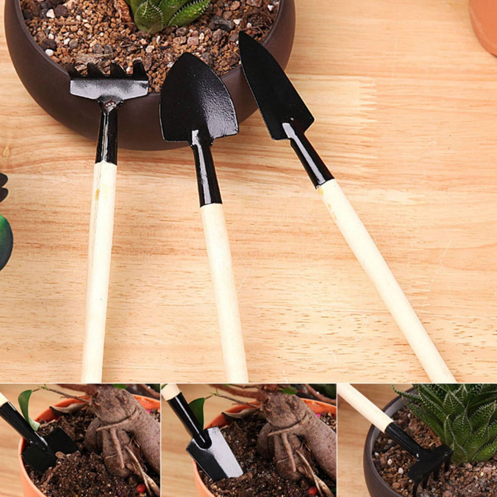 YDYB 6Pcs Gardening Tool Set, Durable Gardening Supplies Kit, Ideal as Garden Gifts for Women, Gardening Accessories, Black - Image 5