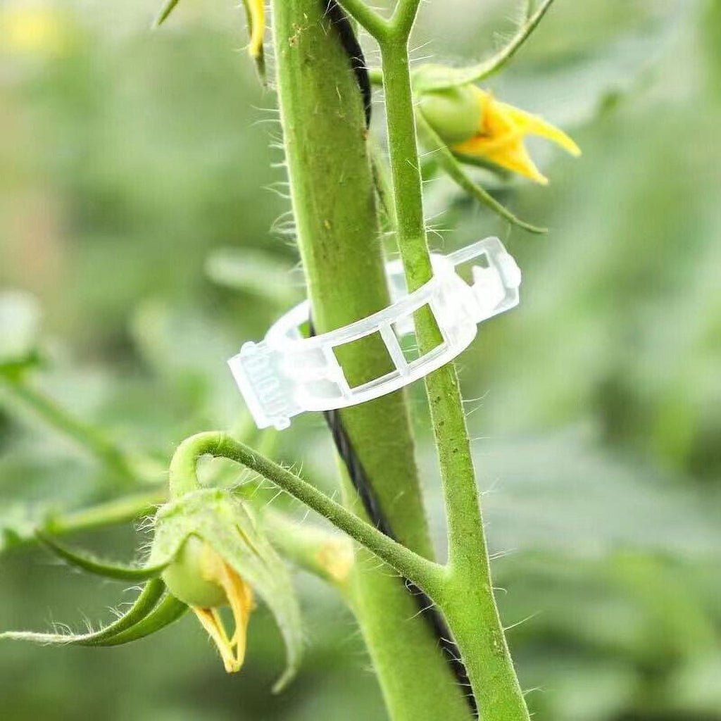 Plant Support Clips Ties Veggie Trellis Stake Greenhouse Tomato Garden Tools - Image 5
