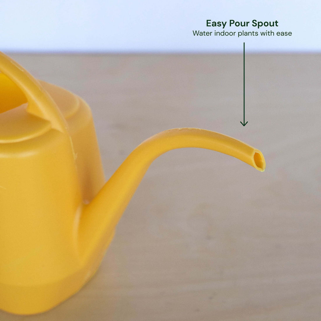 Aqua Rite 56 Fl Oz (.44 Gallon) Earthy Yellow Resin Watering Can for Indoor and Outdoor Use - Image 6