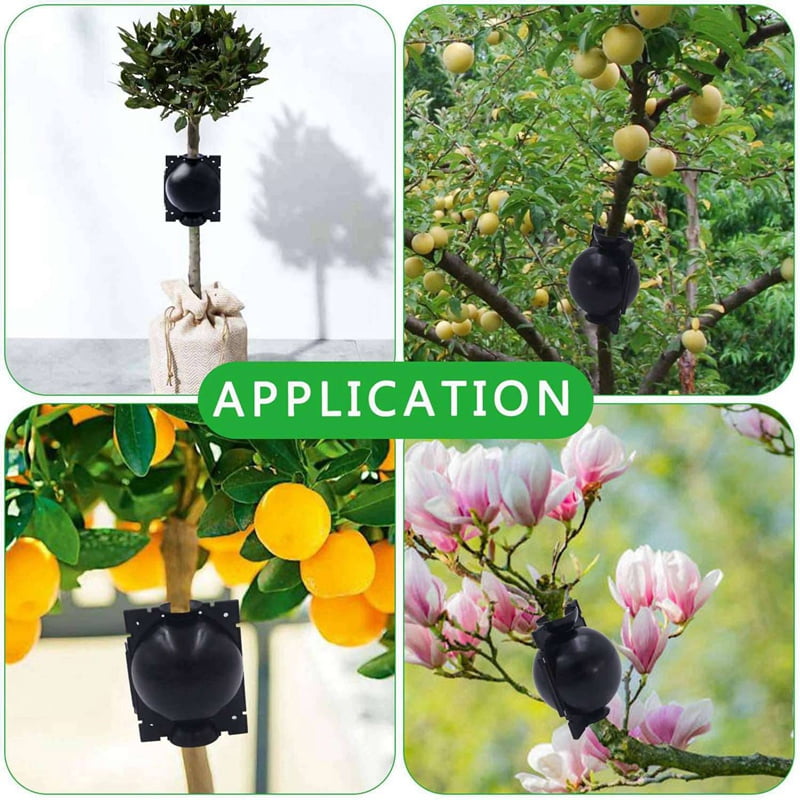 20Pcs Reusable High Pressure  Ball Plant Rooting Growing Box for Plants Garden Tool Planting S - Image 2