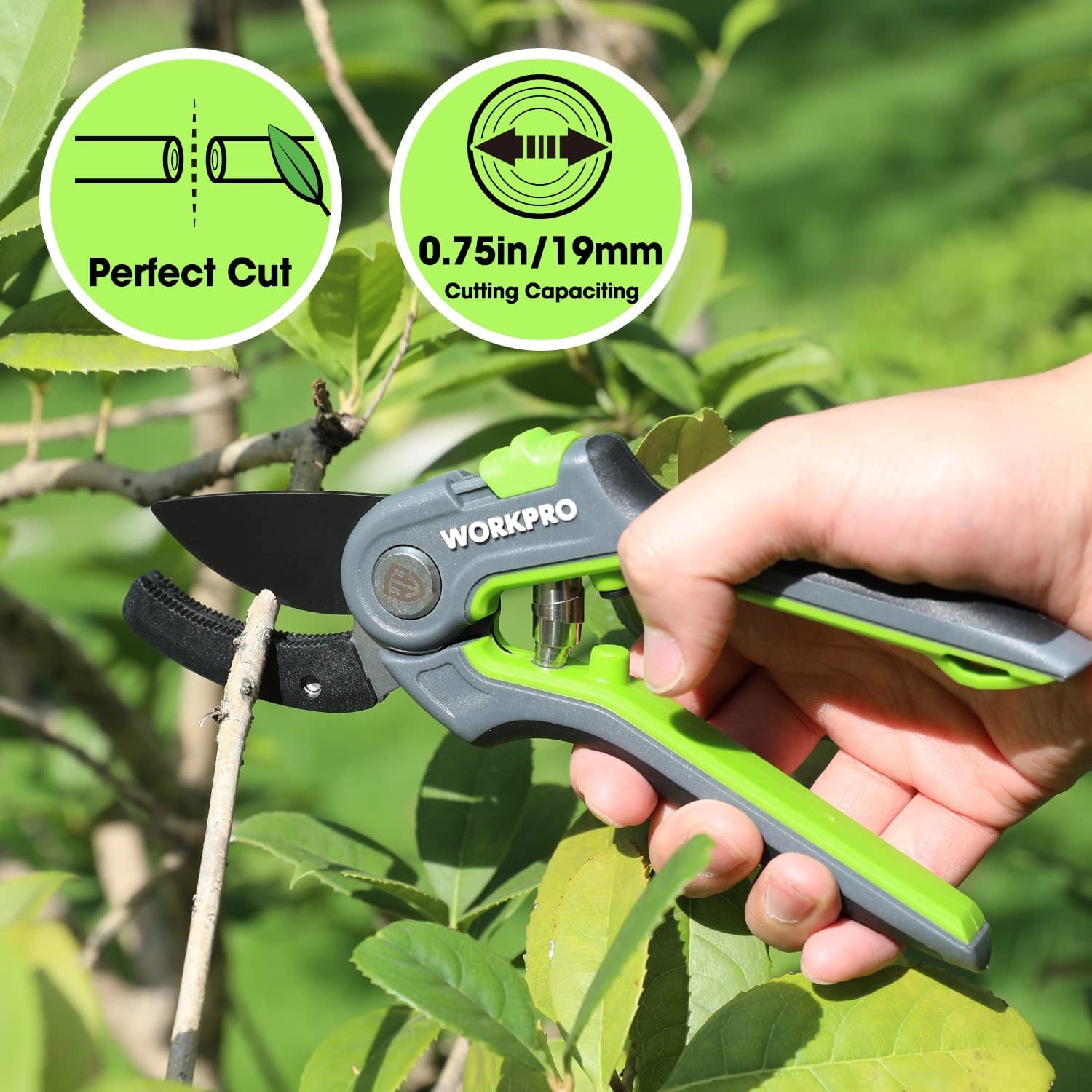 WORKPRO Anvil Pruning Shears, 8 Professional Gardening Hand Pruner with SK5 Steel Sharp Blades, Ideal Gardening Tool for Cutting and Trimmin - Image 4