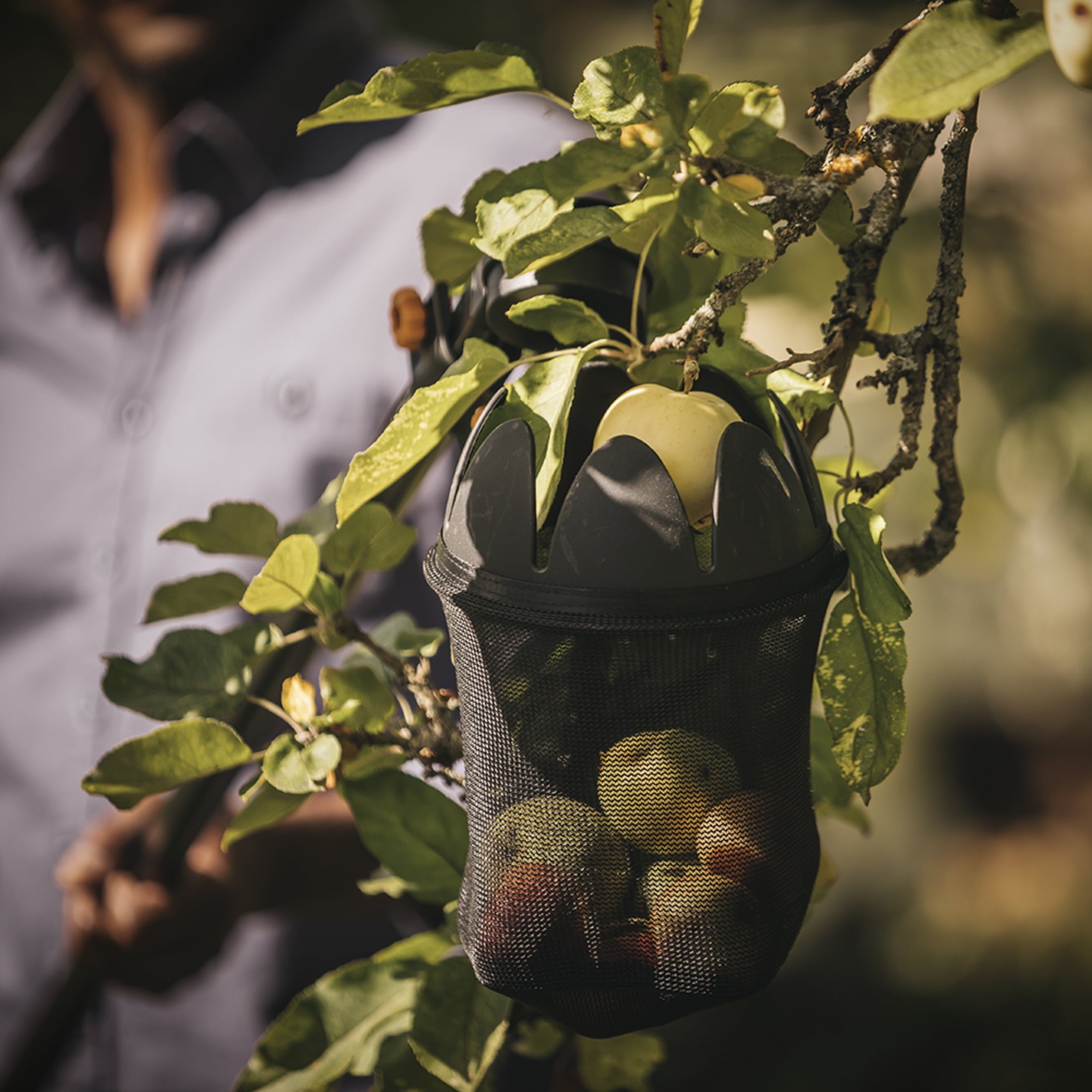 Fruit Picker Basket - Image 2