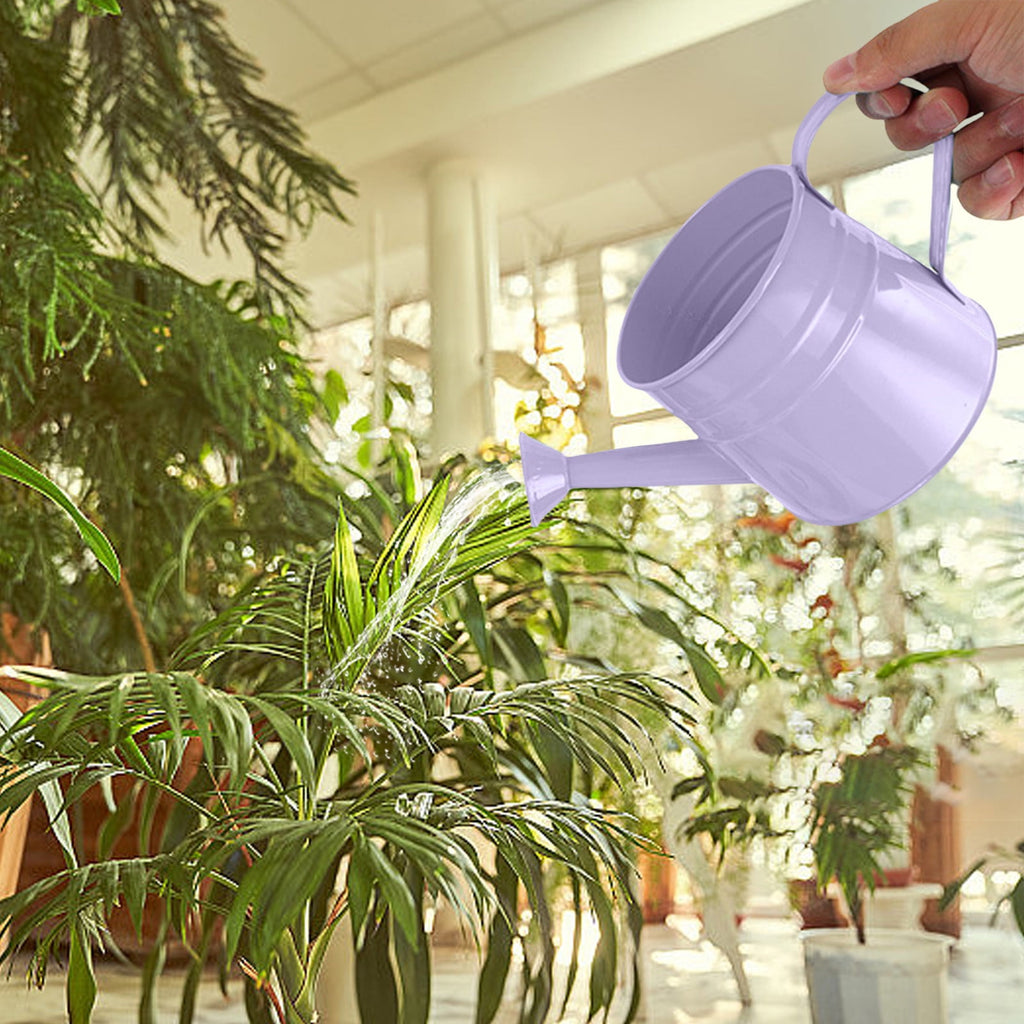 Small Watering Can for Indoor Plants Metal Watering Can For Plants Indoor Outdoor Garden Flower Pot With Floral Decorative Vintage Iron Wate - Image 6