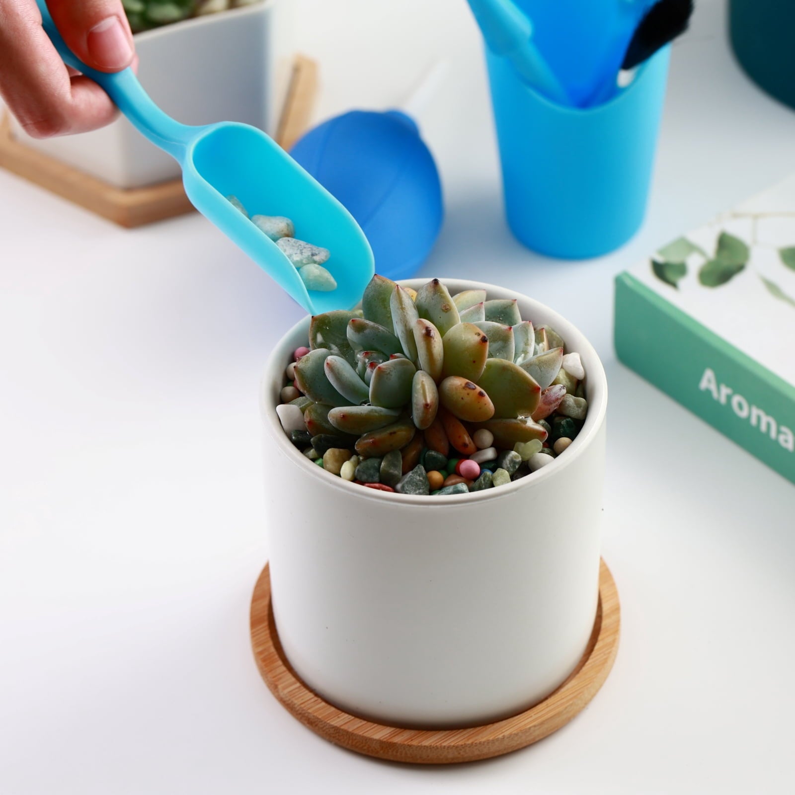 Succulent Plant Care 6-Piece Mini Garden Tool Set - Indoor & Outdoor Gardening Kit - Image 6