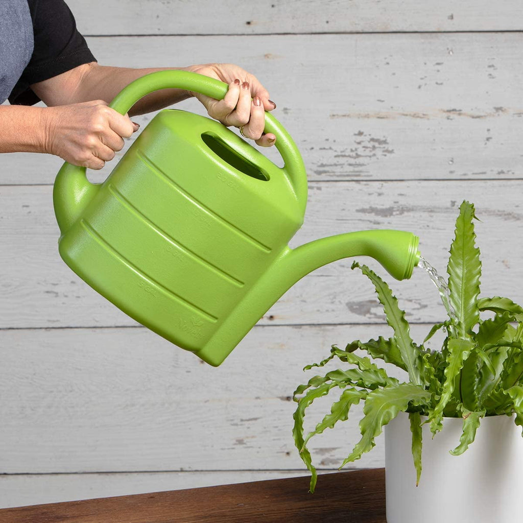 2-Gallon Green Watering Can with Removable Nozzle - Image 2