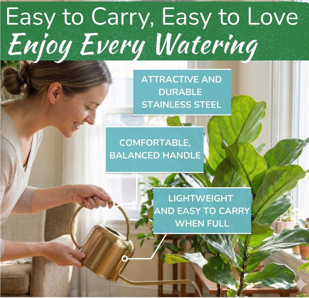 Stainless Steel Watering Can for Houseplants 1L Capacity for Indoor/Outdoor Plants in Brushed Silver - Image 3