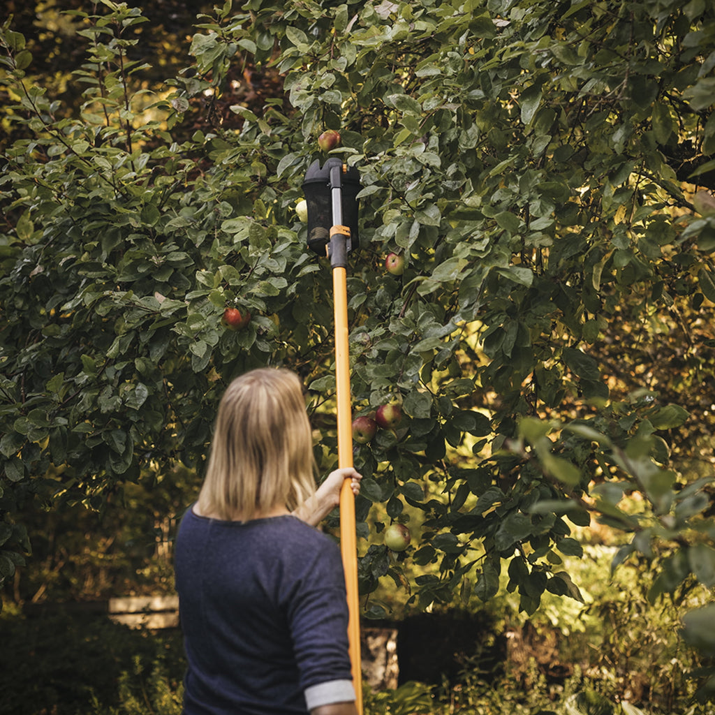 Extendable Fruit Picker Tool, 1 Each, Orange and Black - Image 4
