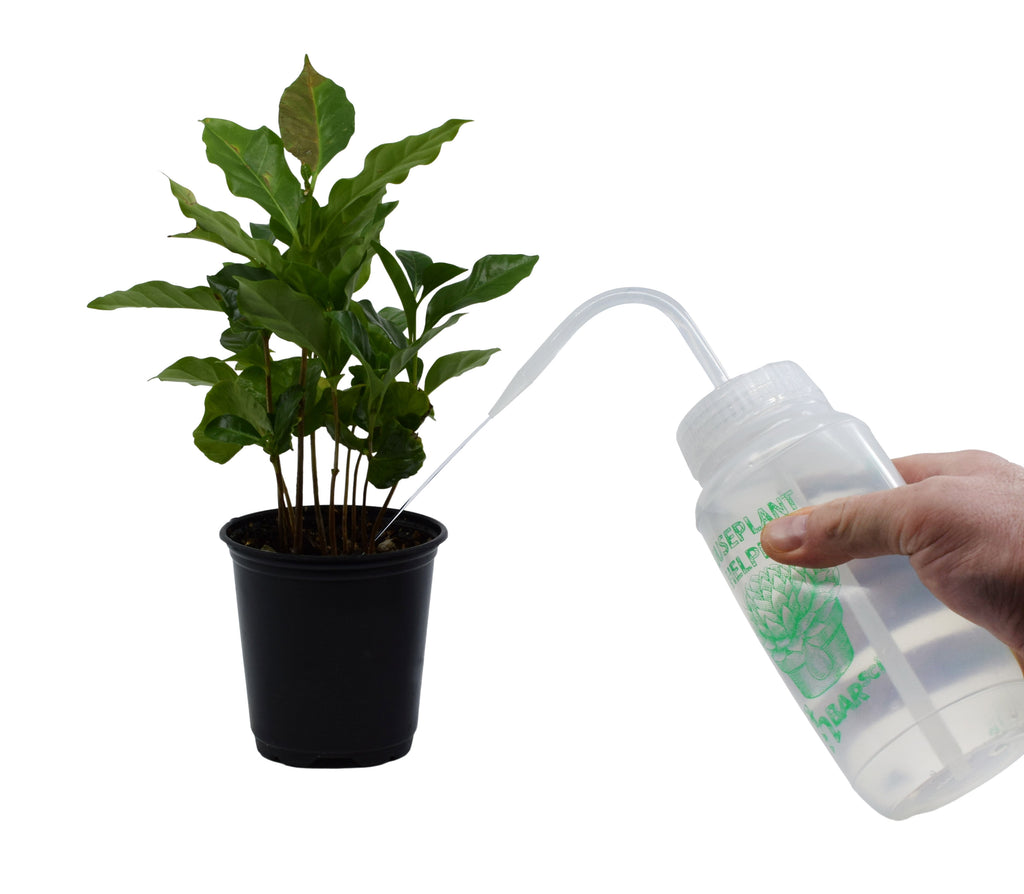 Houseplant Helper Plant Water Bottle, 16oz - Weekly Irrigation Scale Printed on Side - Plant Watering Devices, Succul... - Image 4