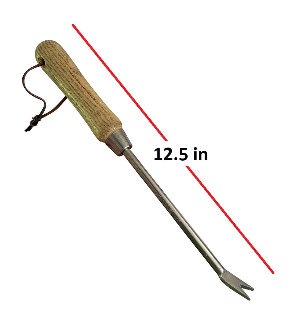 Eco Dandelion Weeder Tool w/ Ergonomic Wood Handle - 100% Recycled Stainless Steel - Rust Resistant - FSC Certified W... - Image 4