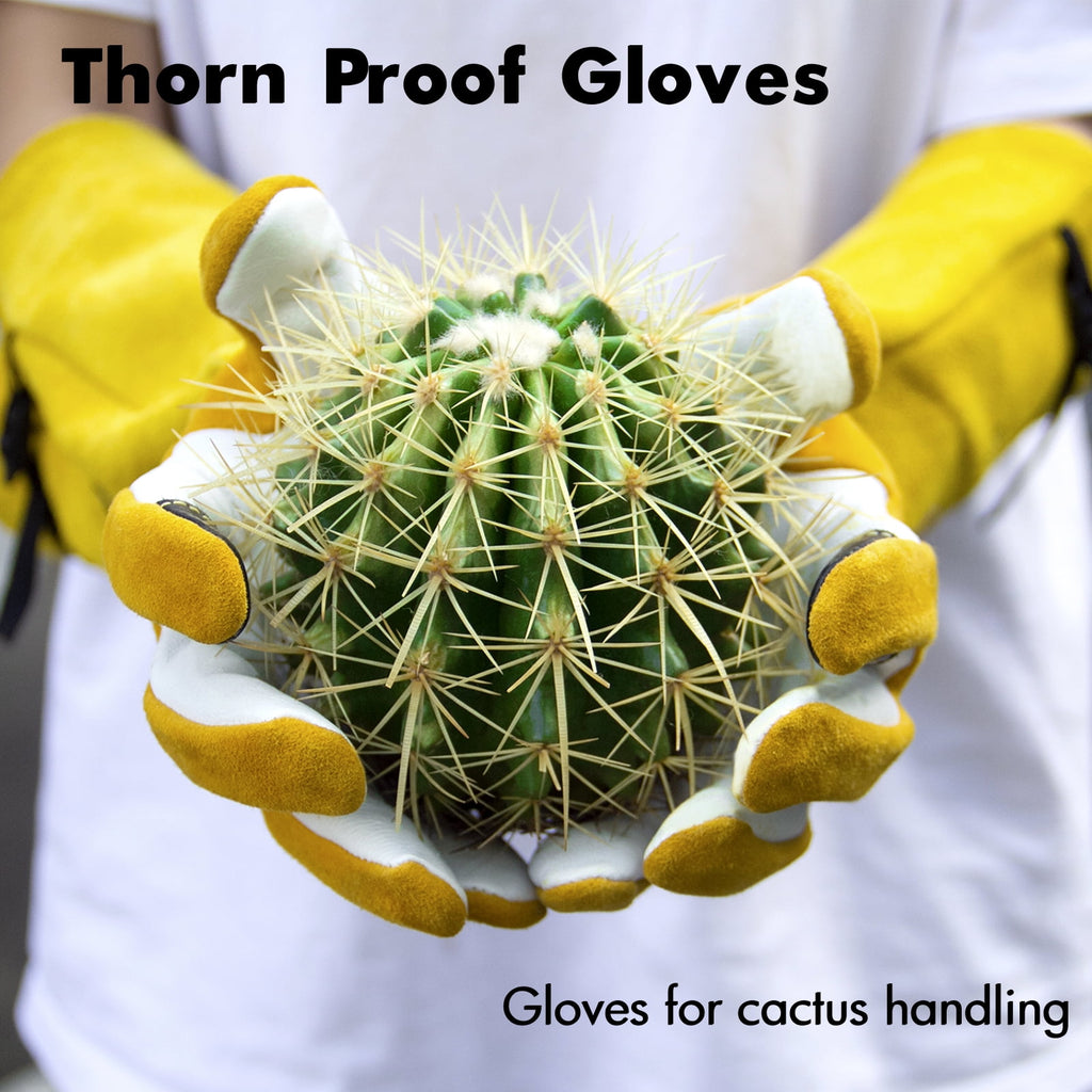 Thorn Proof Long Sleeve Gardening Gloves for Women - 2 Layer Deerskin Suede for Rose Pruning & Cactus Care (Small) - Image 6