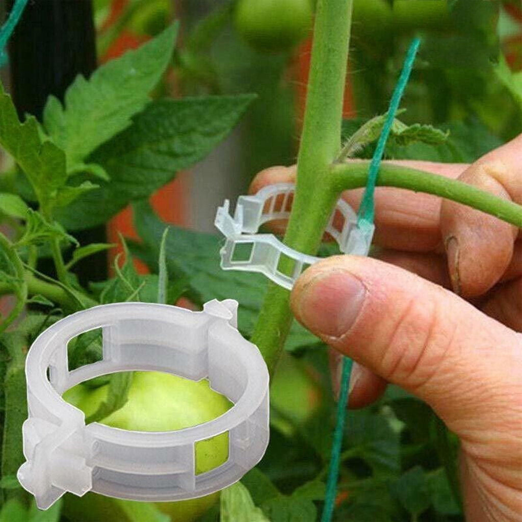 Plant Support Clips Ties Veggie Trellis Stake Greenhouse Tomato Garden Tools - Image 4