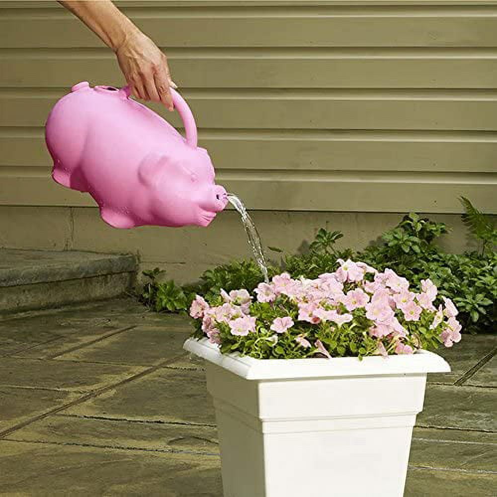 Root & Vessel Babs The Pig Watering Can - Image 2