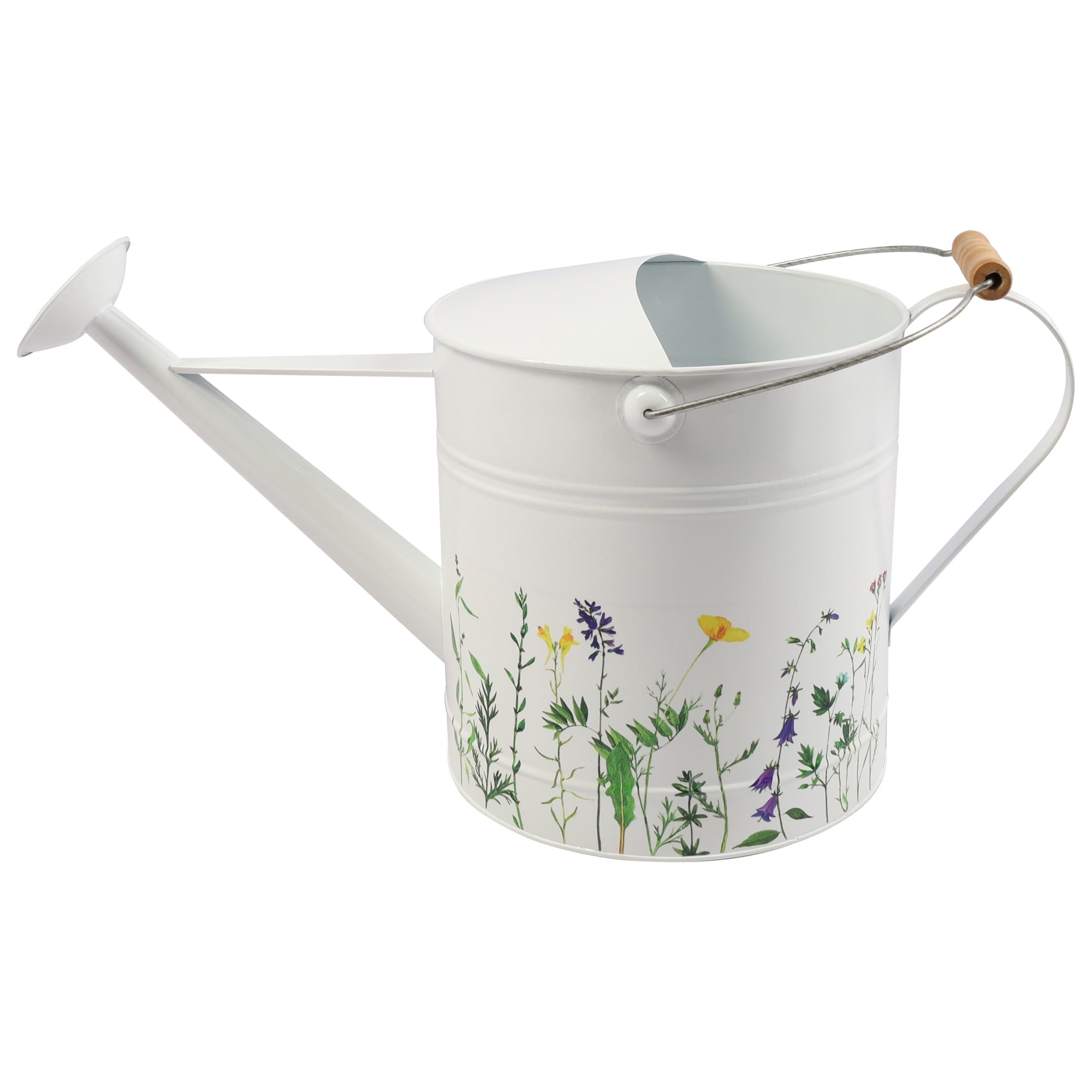 Modern Watering Can for Indoor Plants - Decorative Indoor Watering Can for House Plant Decor - Flower Pots for Garden... - Image 4