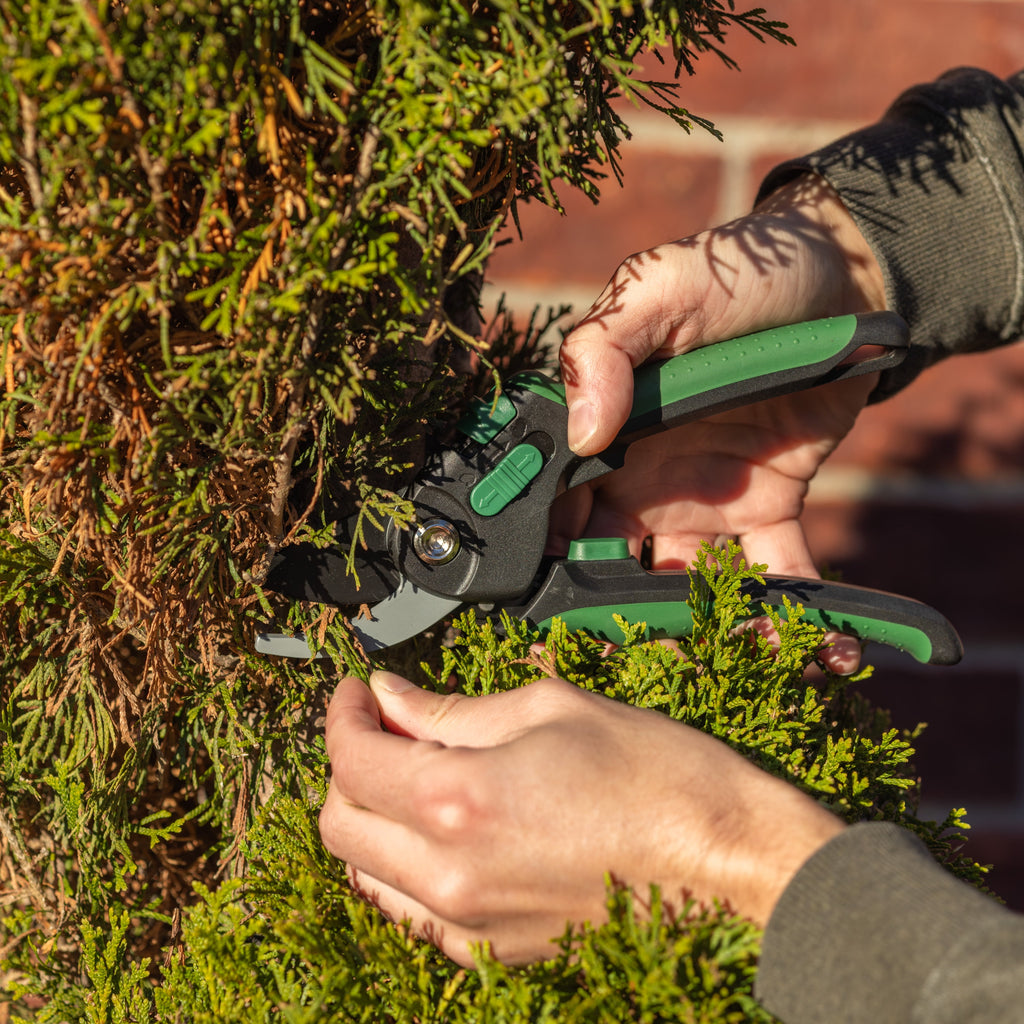 3/4-inch Cutting Bypass Pruner - Image 5
