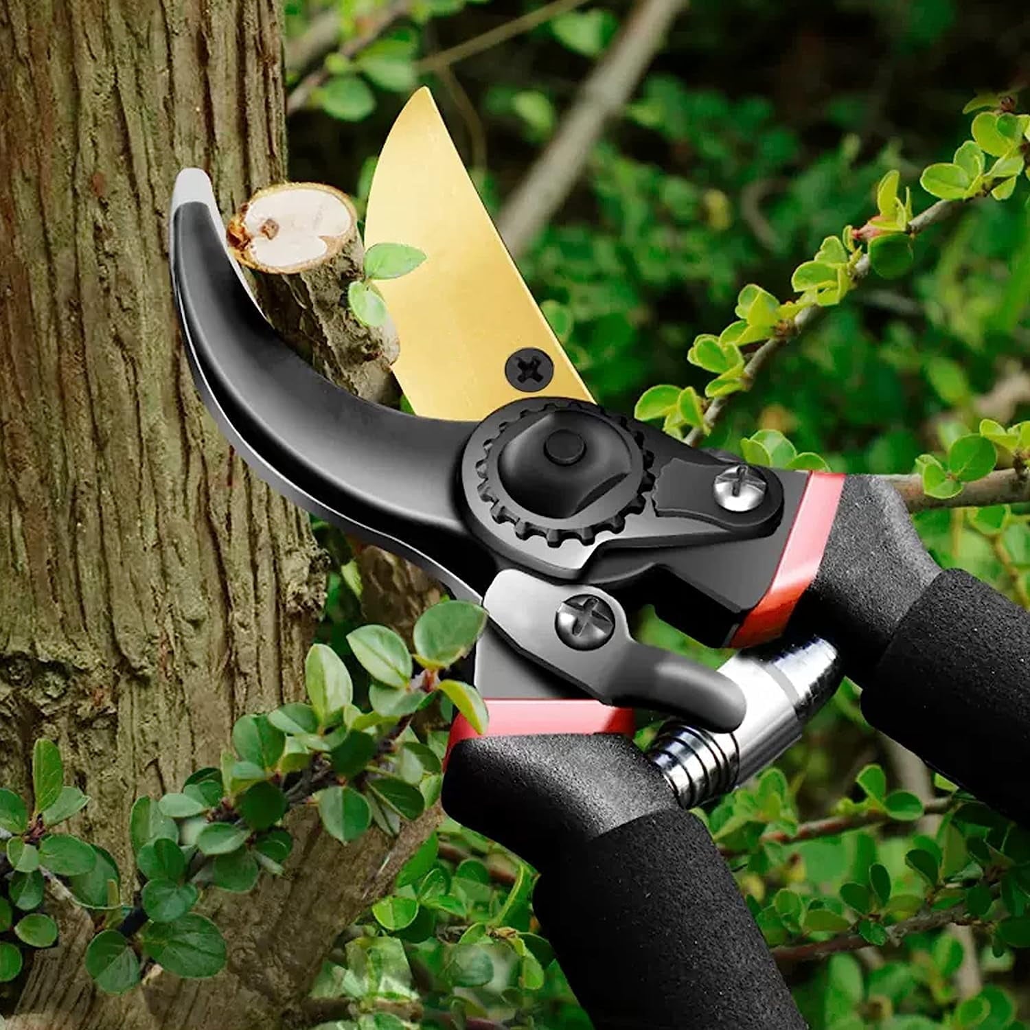 & Hedge Shears, 8" Pruning Shears, Hedge Clippers with Non-Slip Handle,Titanium Steel Garden Tools - Image 2