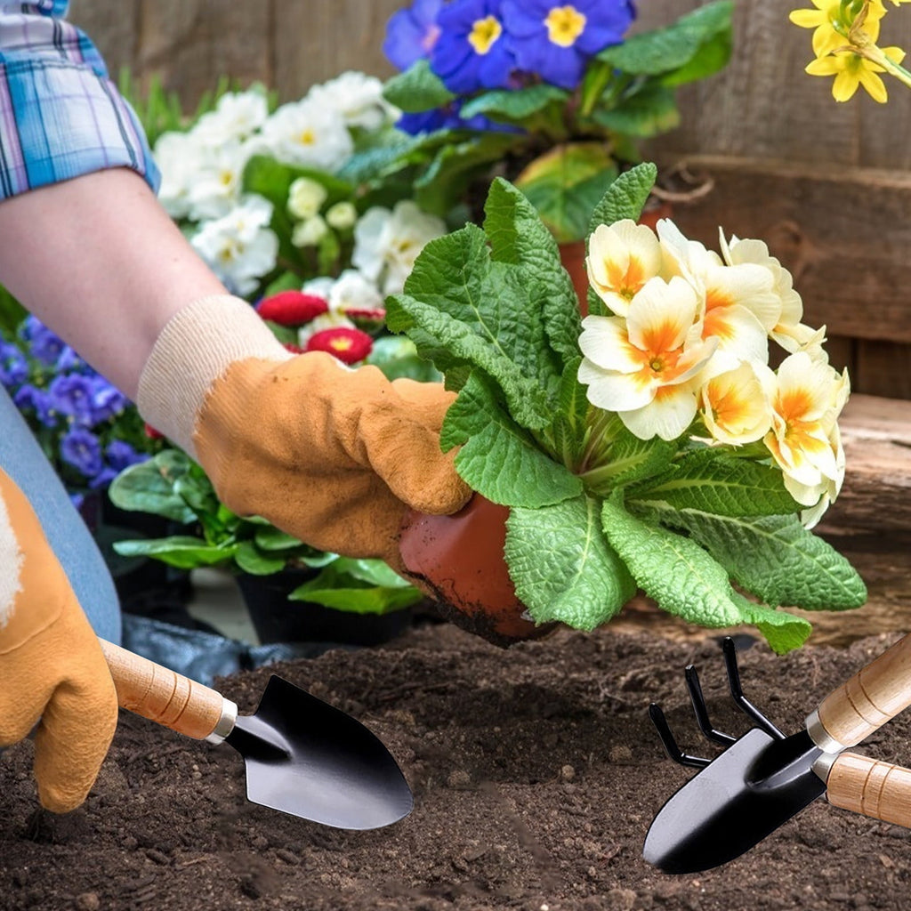 Garden Small Shovel Planting Tool Gardening Supplies Combination Set for Home - Image 5