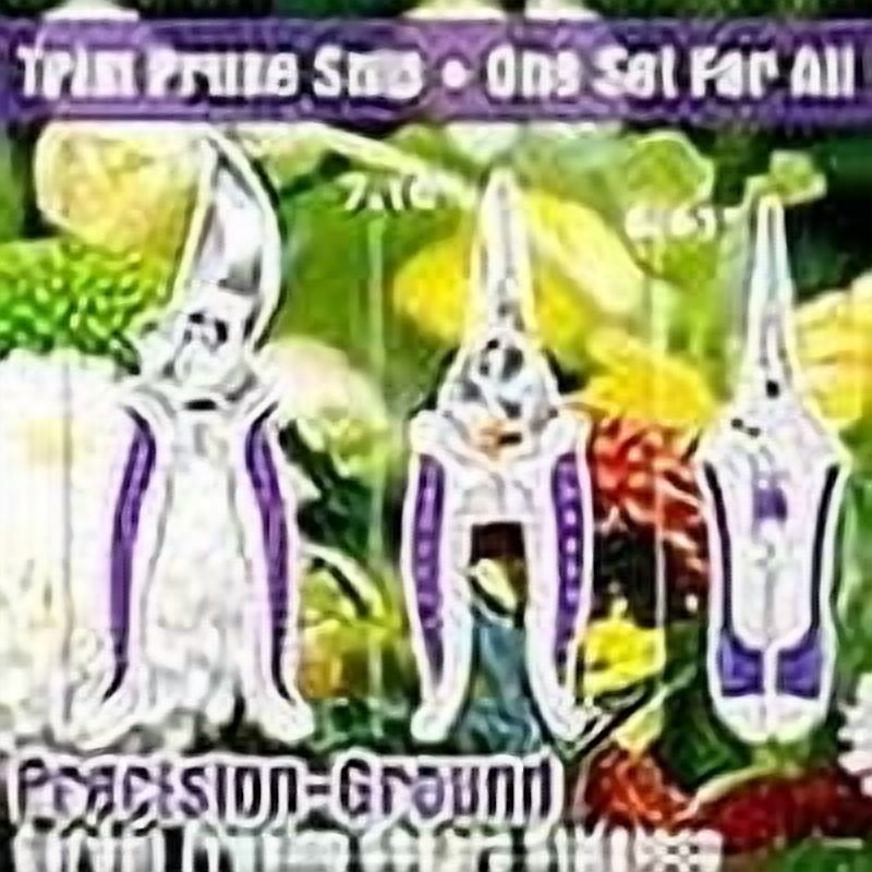 3 Pack purple Garden Pruning Shears, Stainless Steel Garden Shears, Gardening Shears, Gardening Scissors, Garden Scis... - Image 3