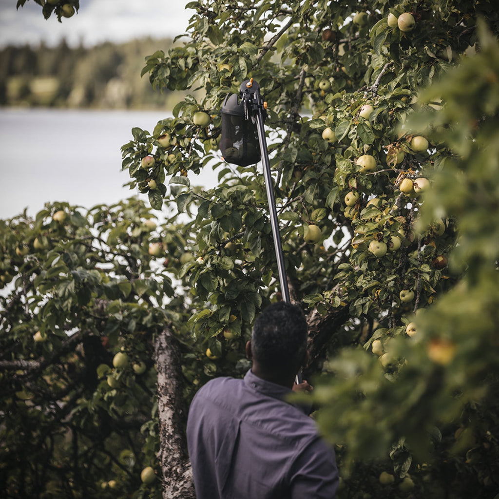 Fruit Picker Basket - Image 5