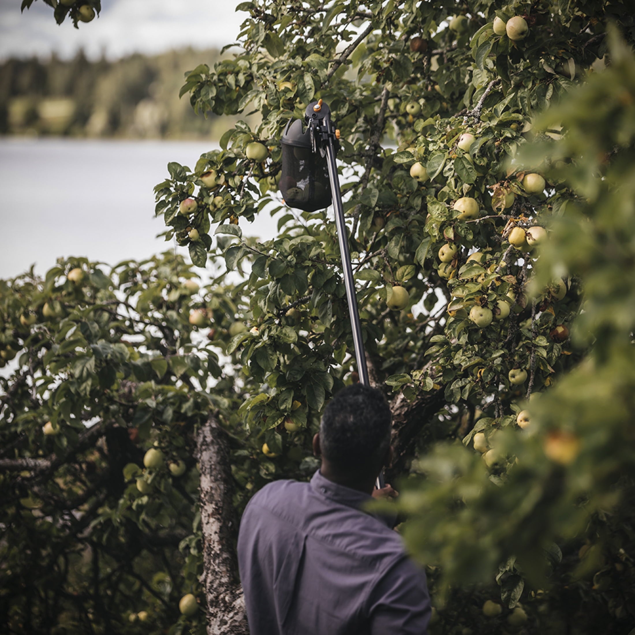 Fruit Picker Basket - Image 5
