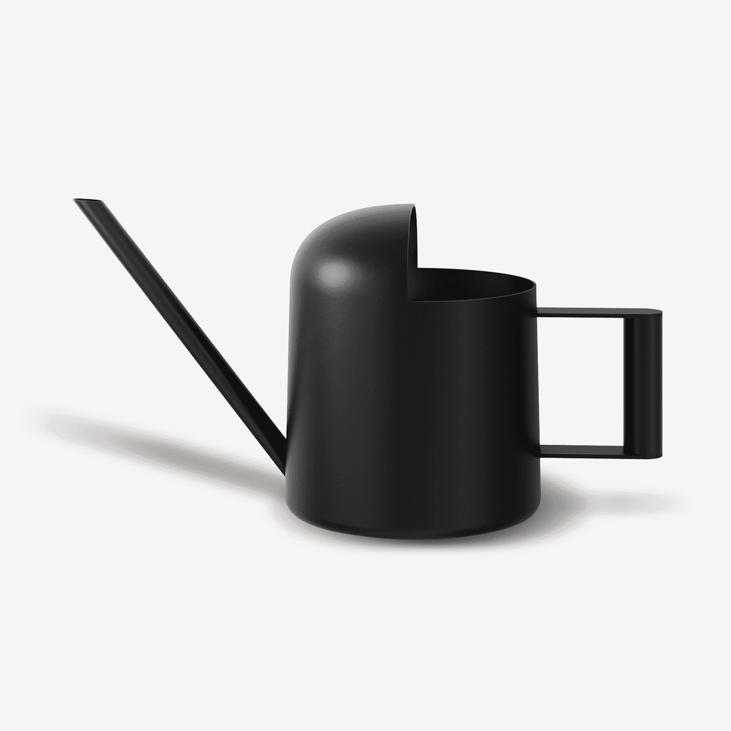 Bamworld Small Watering Can Indoor Outdoor Plant Black Metal Stainless Steel Long Spoutt Flowers Watering Cans for House Garden Plants 10OZ