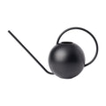 Bloem Fresca 2.5 L Indoor Metal Watering Can - Powder-Coated Finish, Novelty Handle, Long Sleek Spout, Black