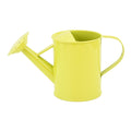 Children's Watering Can | Iron Watering Pot with Long Spout for Indoor & Outdoor Plants | 1-Pack Garden Tool for Kids