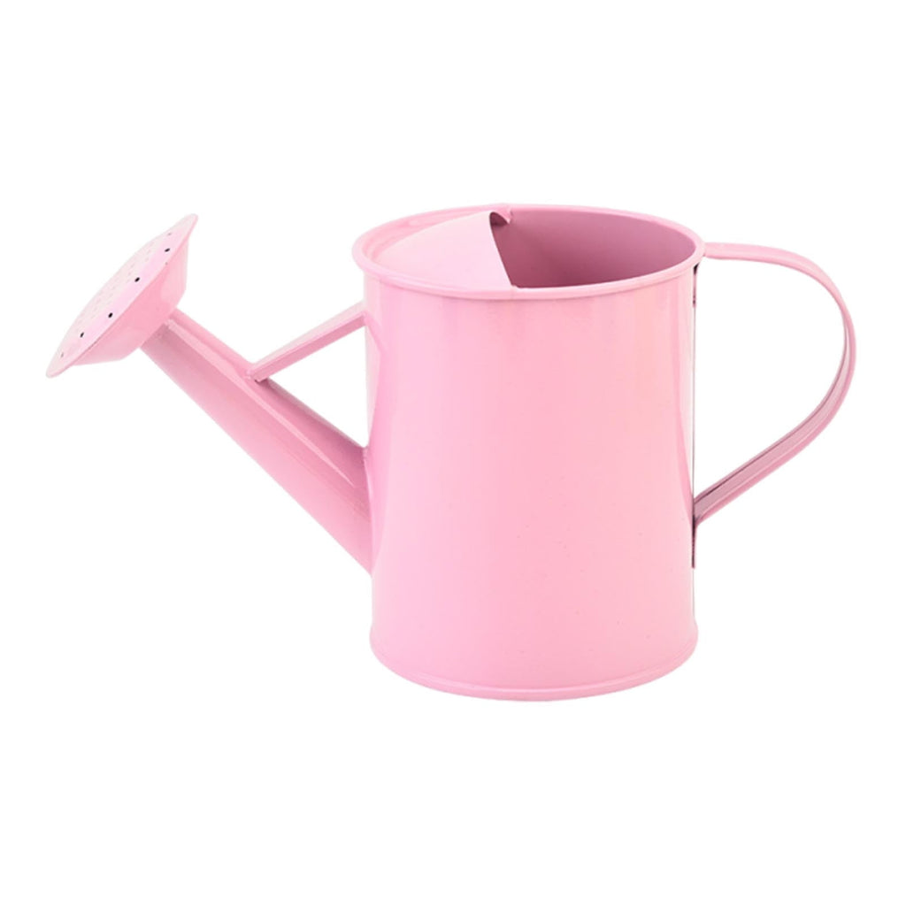 Clearance Under $5 Watering Can Indoor Plants, 520oz Thicken Iron Indoor Watering Can with Long Spout Plant Watering ...