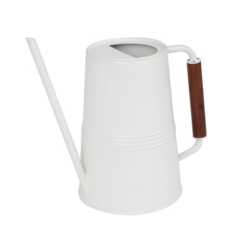 1-Gallon Metal Watering Can, White