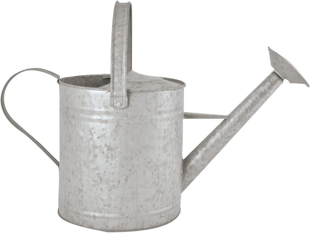 Esschert Design OZ44 Zinc Watering Can, Medium, 19"D x 7.9"W x 11"H, Silver