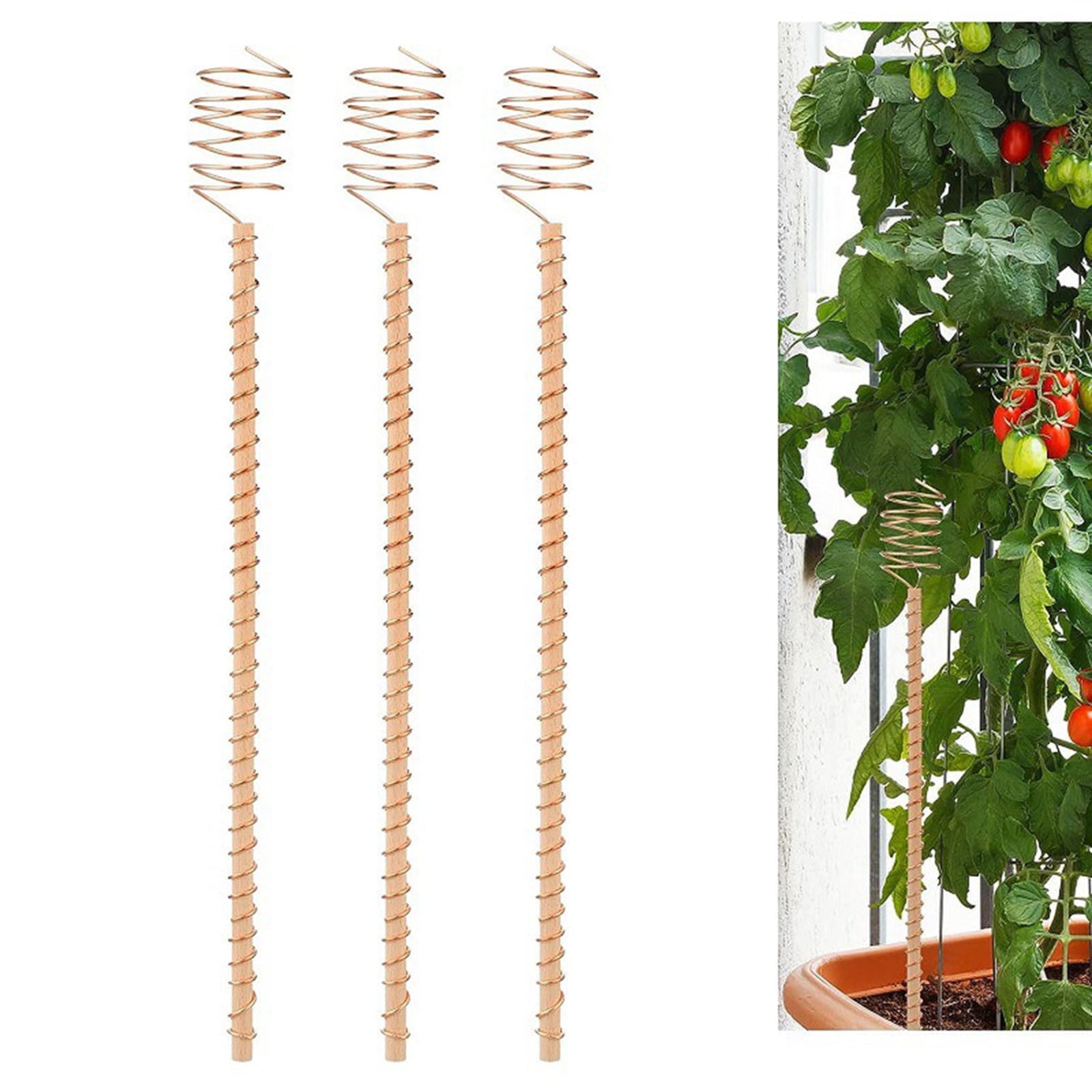 Big Savings karymi Garden Plant Pile Plant Support Frame Garden Vegetable Planting Copper Gardening Tools Small Accessories Big Savings Summ