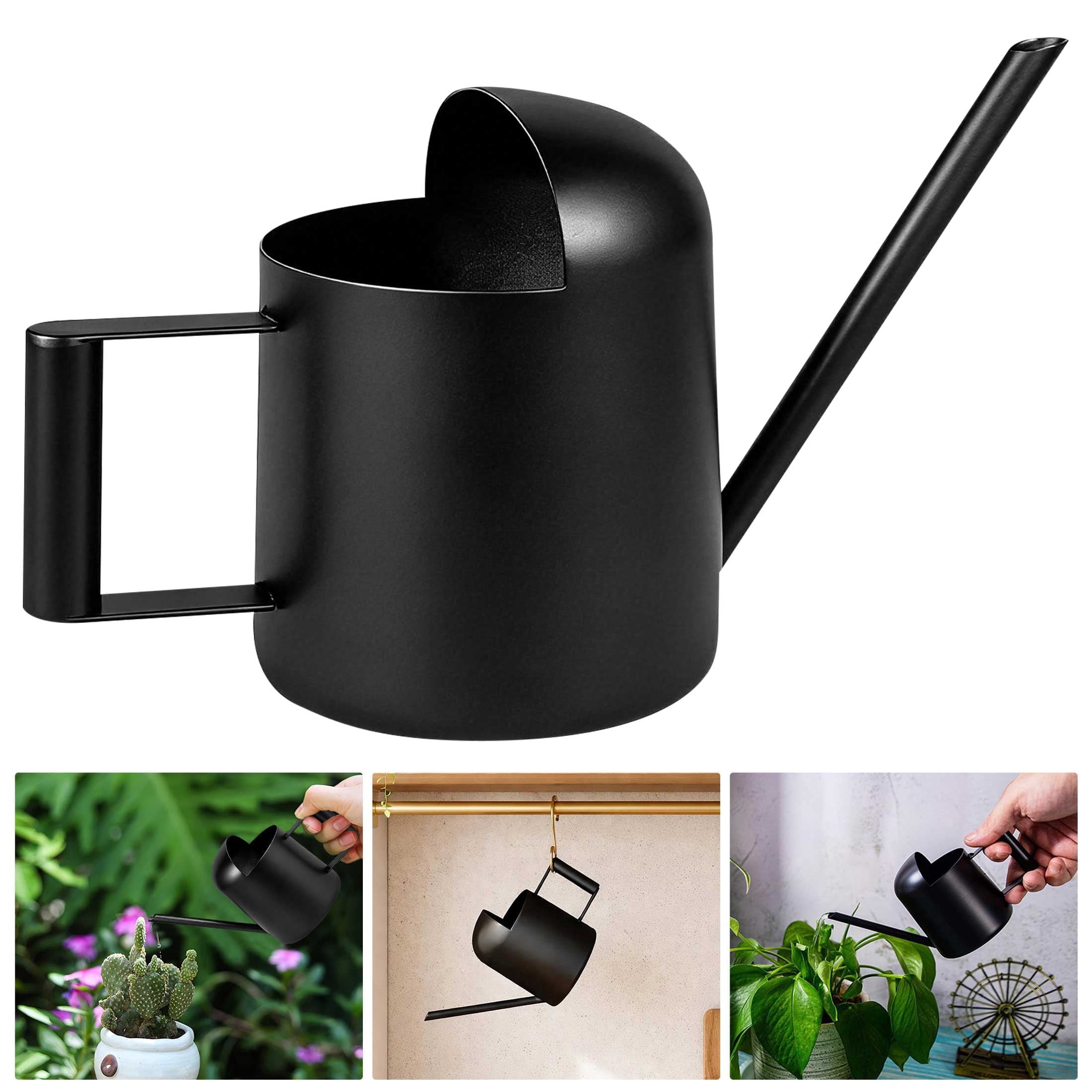 Garden Watering Can, 10oz Stainless Steel Watering Pot with Long Spout for Indoor Outdoor Plant, Black