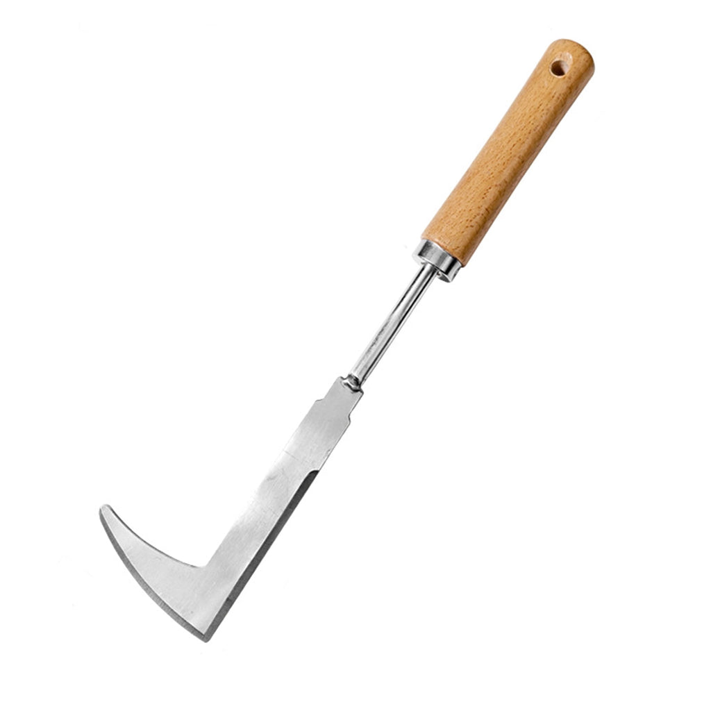Stainless Steel Weeding Tool | Crevice Weeder & Seedling Transplanter for Garden, Yard