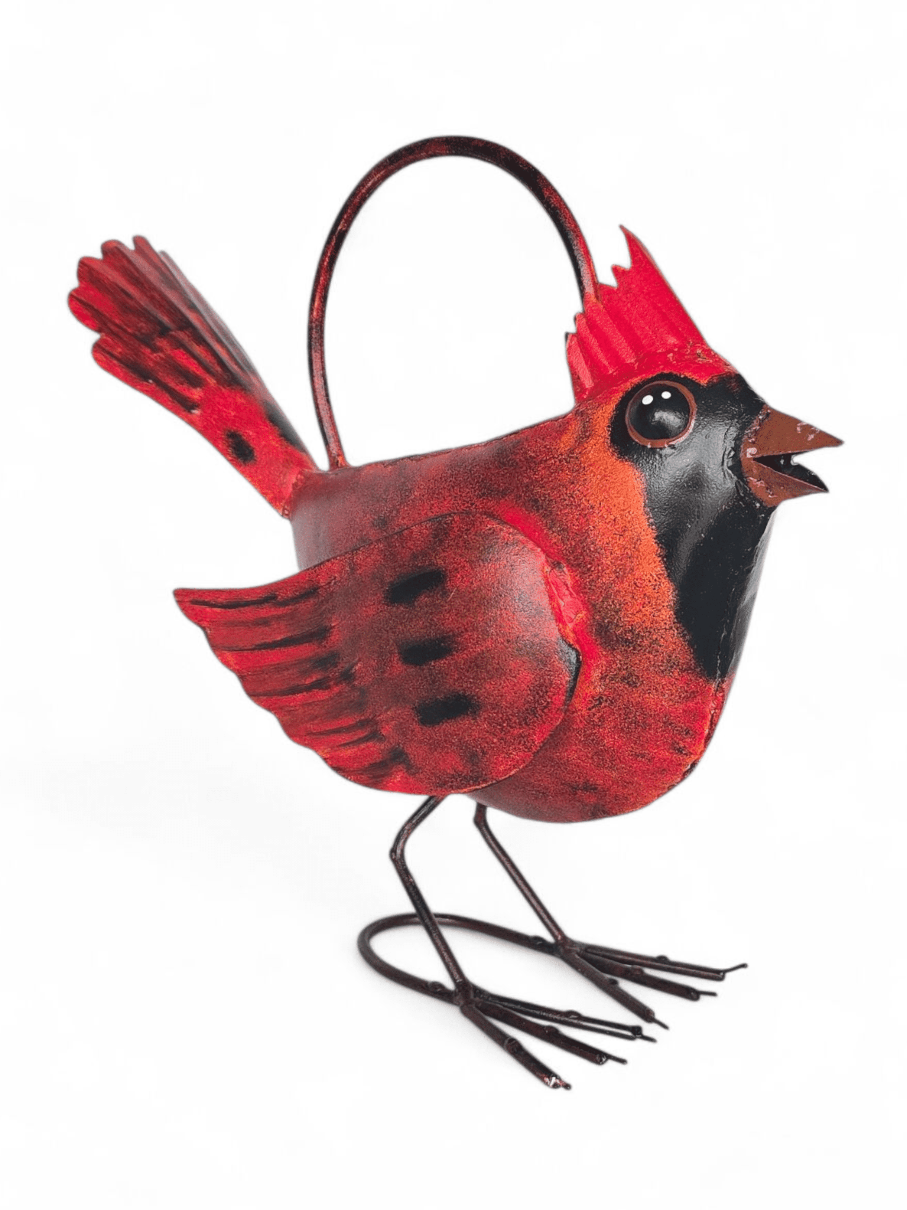Cardinal Watering Can