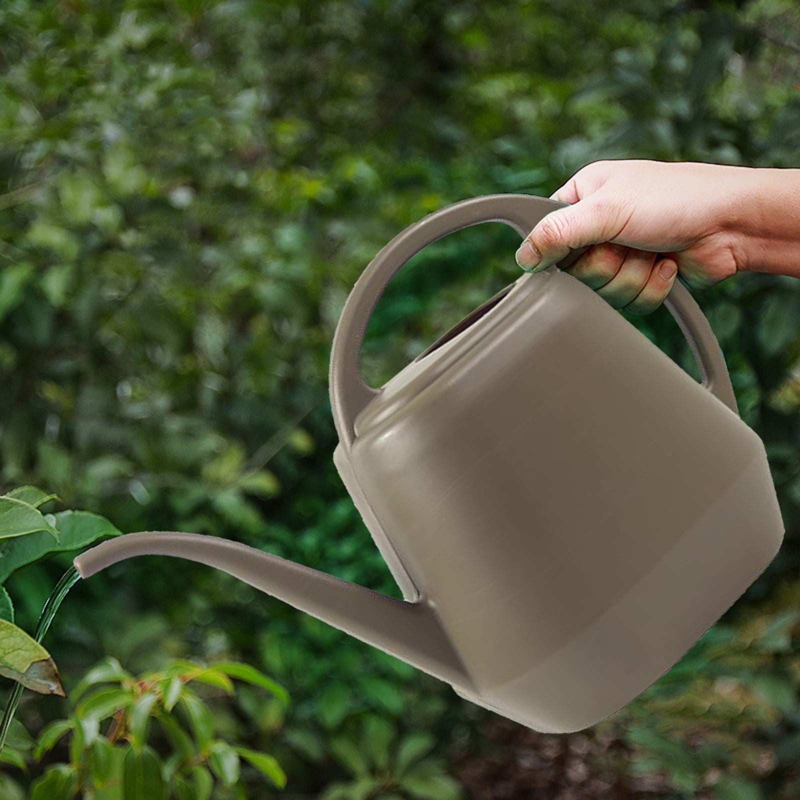 1 Gallon Watering Can, Large Capacity Plastic Water Can with Long Spout, Garden Watering Cans for Indoor and Outdoor ...