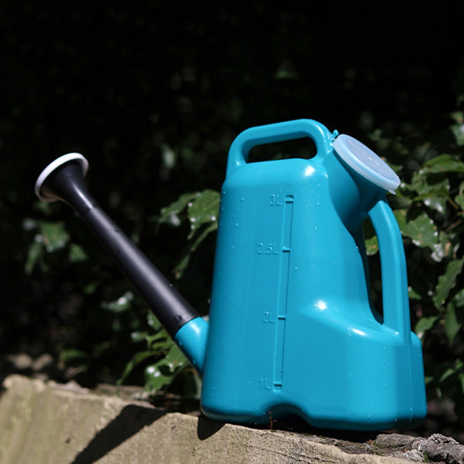 4/5 Gallon Watering Can, Plastic Water Can with Removable Long Spout and Lid, Garden Watering Cans for Indoor Outdoor...
