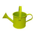 Metal Watering Can, Kids Small Watering Cans with Handle, Children Iron Mini Watering Pot for Boys Girls, Baby Water ...