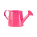 Junepar 1/4 Gal Colorful Galvanized Tinplate Watering Can for Indoor & Outdoor Plants Watering 1L Decorative Small Water Cans Hot Pink
