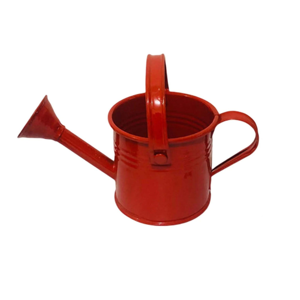 Metal Watering Can, Small Watering Can for Indoor Plants, Garden Watering Can, Vintage Sprinkling Can for Flowers, Sprinkling Watering Can,