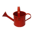 Metal Watering Can, Small Watering Can for Indoor Plants, Garden Watering Can, Vintage Sprinkling Can for Flowers, Sprinkling Watering Can,