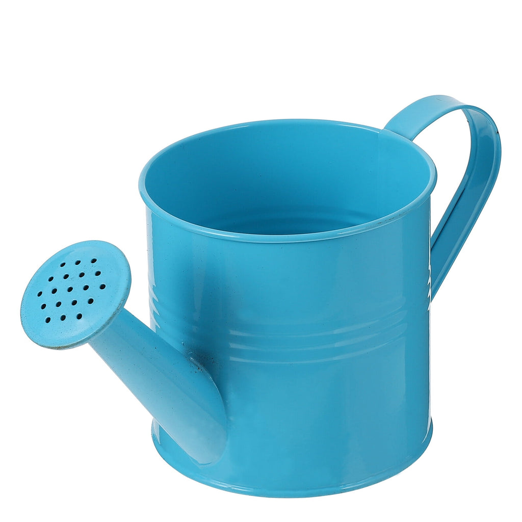 Horticultural Watering Can for Home Gardening, Metal Watering Can 1 Set for Indoor and Outdoor Plants