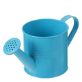 Horticultural Watering Can for Home Gardening, Metal Watering Can 1 Set for Indoor and Outdoor Plants