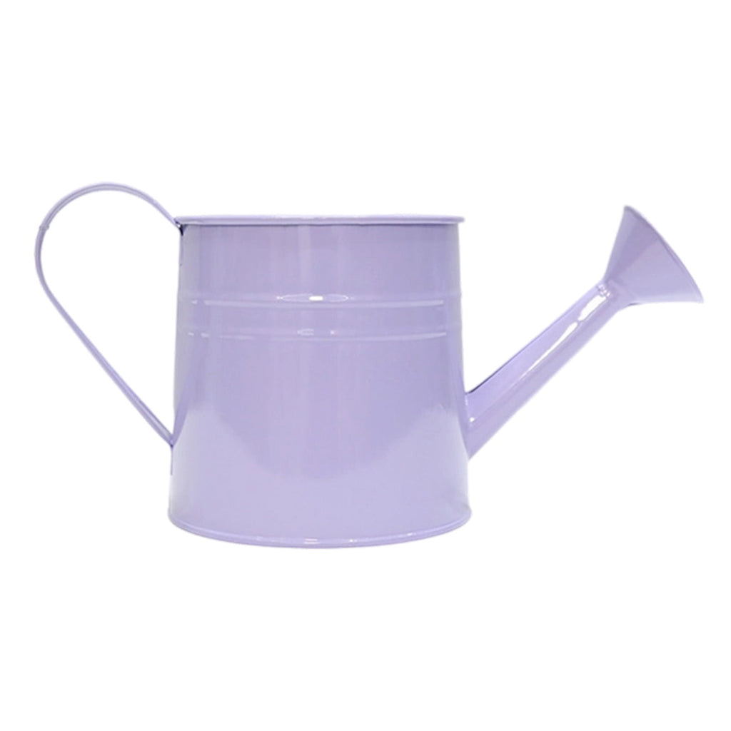 Small Watering Can for Indoor Plants Metal Watering Can For Plants Indoor Outdoor Garden Flower Pot With Floral Decorative Vintage Iron Wate