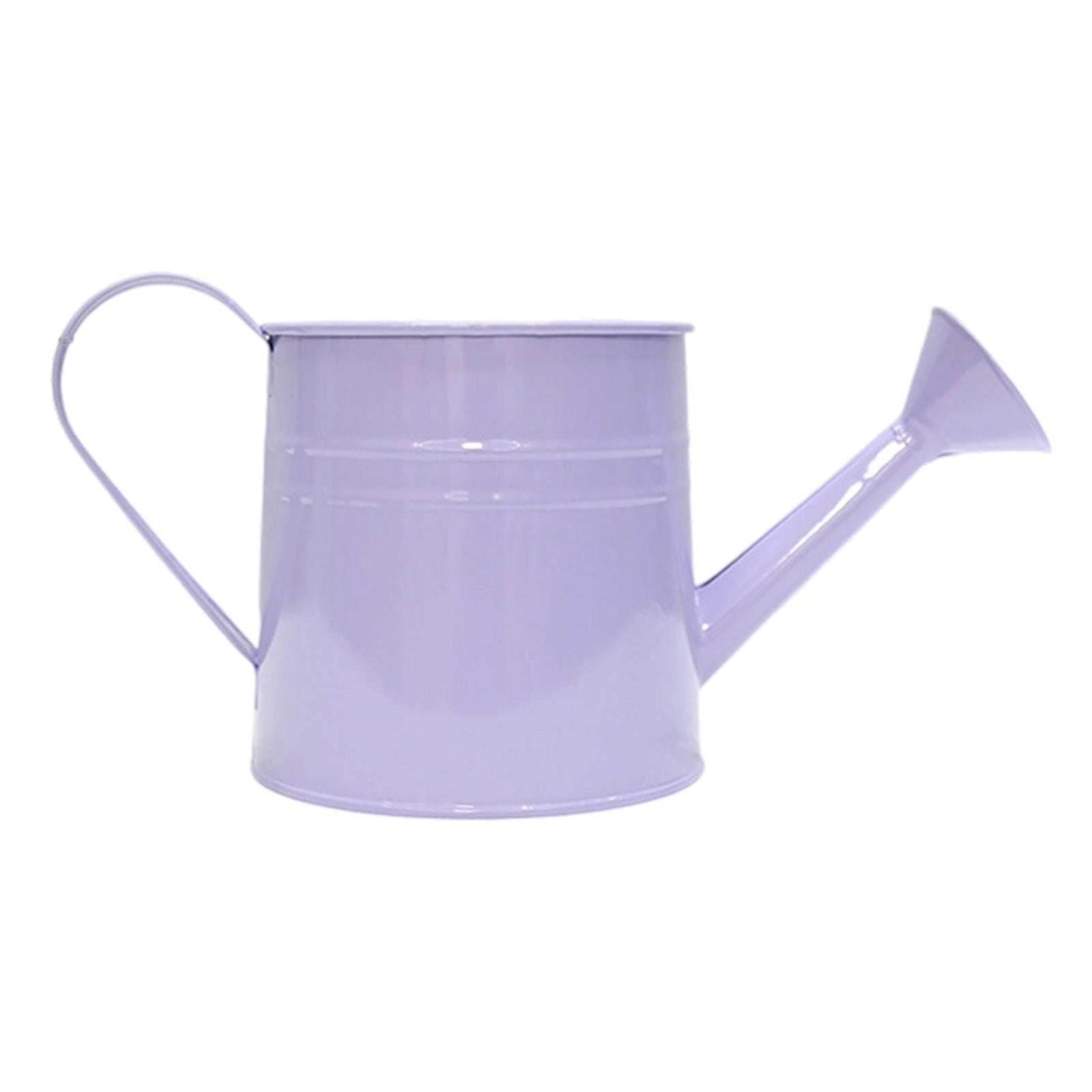 Small Watering Can for Indoor Plants Metal Watering Can For Plants Indoor Outdoor Garden Flower Pot With Floral Decorative Vintage Iron Wate