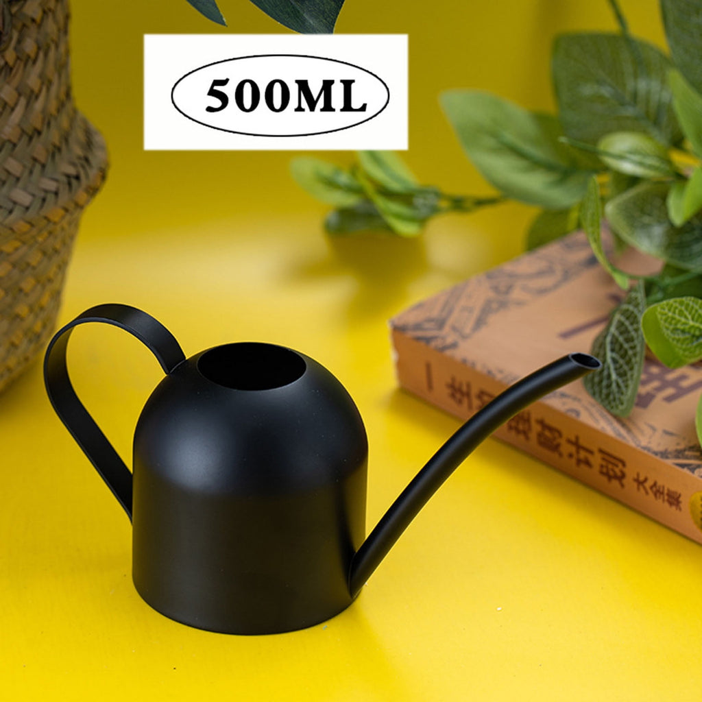 Mini Stainless Steel Watering Can, Watering Cans, 16Oz Long Spout Small Watering Sprinkling Pot, Indoor Outdoor Garde...