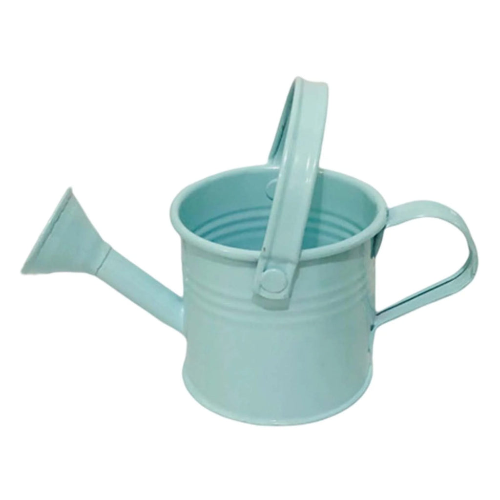Kettle Small Can Gardening Tool Accessories, Outdoor Metal Water Bucket Decorative Sprinkling Can Tin Can for Outdoor...