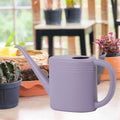 Watering Can, 1 L Watering Can, Farmhouse Sprinkler, Long Spout Sprinkler Head for Garden, Indoor and Outdoor Plants,...