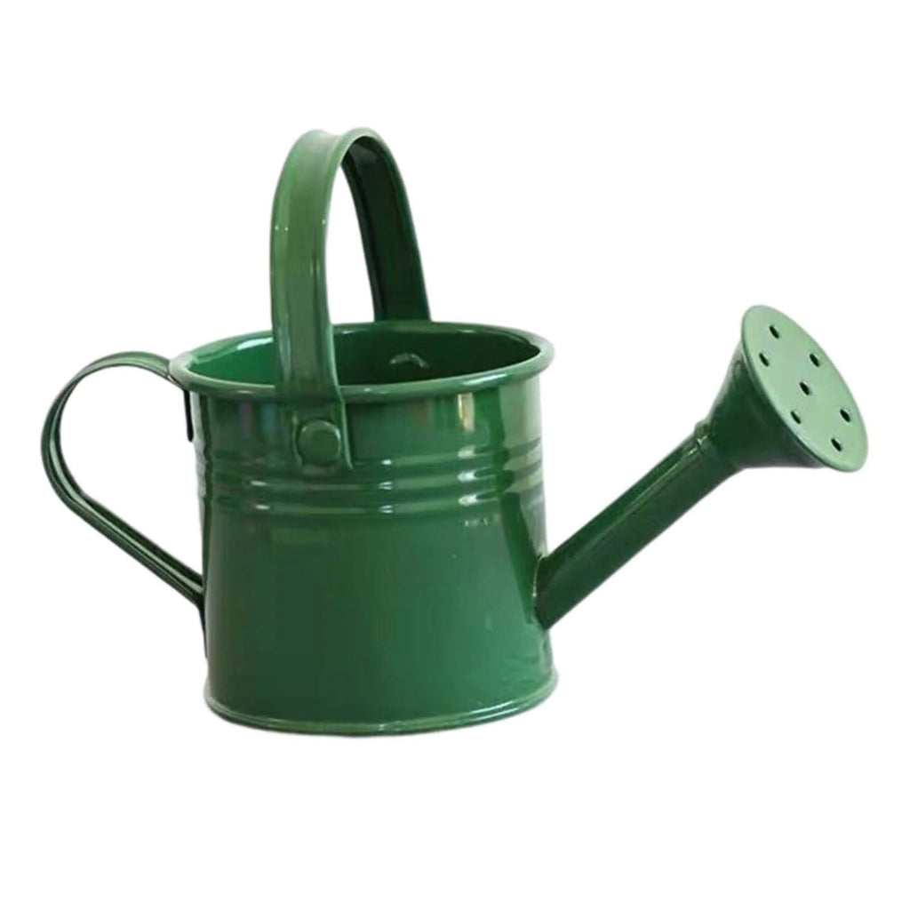 Watering Can for Kids Play Time or Practical Use for Boys and Girls, Perfect for Easter Gift Iron Art for Kids, Outdo...