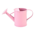 Wrought Iron Watering Can for Indoor Outdoor Plants | Long Spout Flower Pot Watering Kettle | Ergonomic Handle | Durable Thick-Wall Metal |